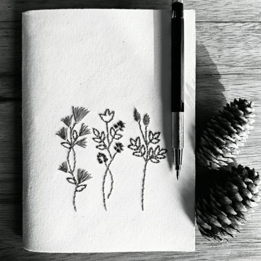 । हम दोनों&nbsp;।